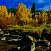 Utah Fall Photography