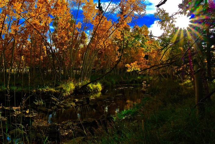 Utah Fall Photography