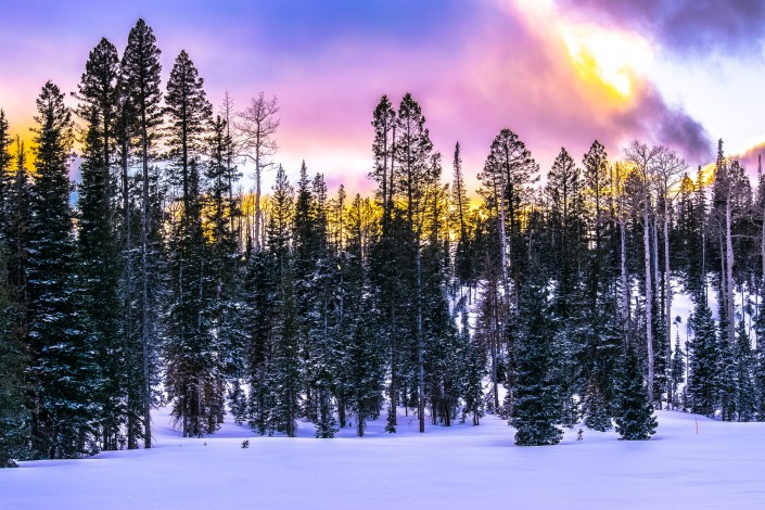 Utah Winter Photography